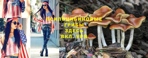 2c-b Балабаново
