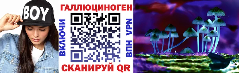 Псилоцибиновые грибы Psilocybe  mega tor  Светогорск 