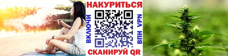 Шишки марихуана сатива  Светогорск 